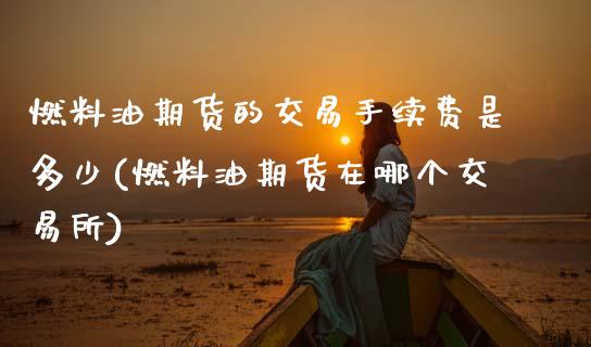 燃料油期货的交易手续费是多少(燃料油期货在哪个交易所)_https://www.gnhpgy.com_纳指期货_第1张