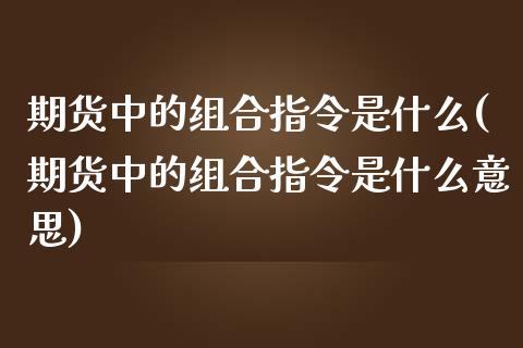 期货中的组合指令是什么(期货中的组合指令是什么意思)_期货知识_第1张_公牛期货直播室 期货中的组合指令是什么(期货中的组合指令是什么意思)_https://www.gnhpgy.com_期货知识_第1张