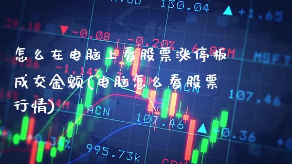 怎么在电脑上看股票涨停板成交金额(电脑怎么看股票行情)_https://www.gnhpgy.com_德指期货_第1张