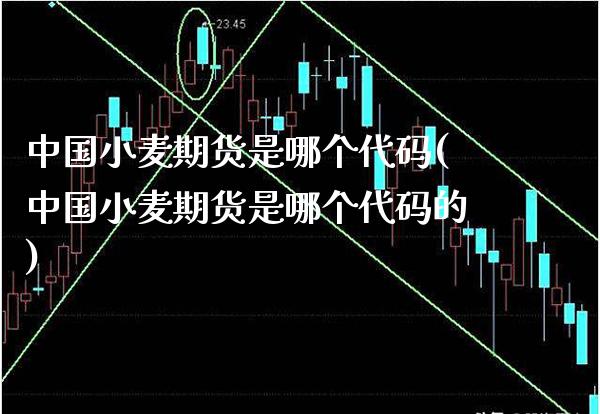 中国小麦期货是哪个代码(中国小麦期货是哪个代码的)_https://www.gnhpgy.com_道指期货_第1张