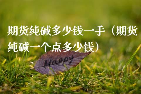 期货纯碱多少钱一手（期货纯碱一个点多少钱）_https://www.gnhpgy.com_恒指期货_第1张