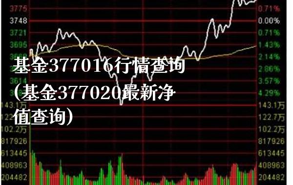 基金377016行情查询(基金377020最新净值查询)_https://www.gnhpgy.com_道指期货_第1张