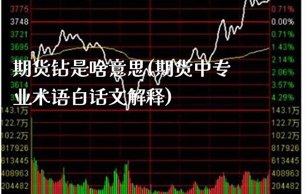 期货钻是啥意思(期货中专业术语白话文解释)_黄金期货_第1张_公牛期货直播室 期货钻是啥意思(期货中专业术语白话文解释)_https://www.gnhpgy.com_黄金期货_第1张