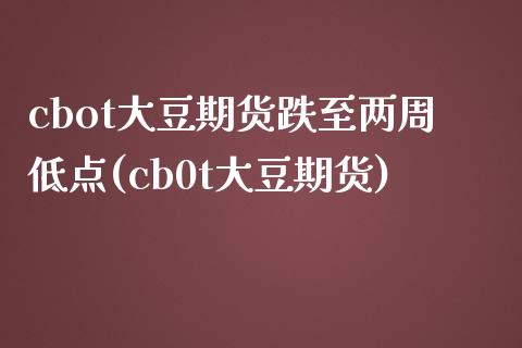 cbot大豆期货跌至两周低点(cb0t大豆期货)_https://www.gnhpgy.com_期货知识_第1张