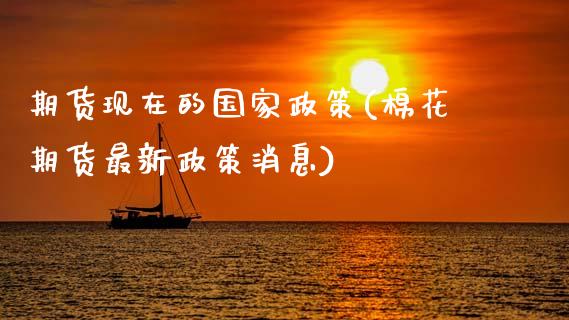 期货现在的国家政策(棉花期货最新政策消息)_https://www.gnhpgy.com_恒指期货_第1张