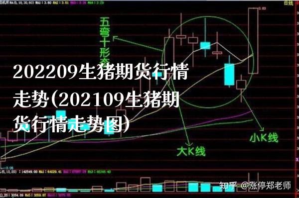202209生猪期货行情走势(202109生猪期货行情走势图)_https://www.gnhpgy.com_股指期货_第1张