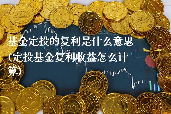 基金定投的复利是什么意思(定投基金复利收益怎么计算)_https://www.gnhpgy.com_道指期货_第1张