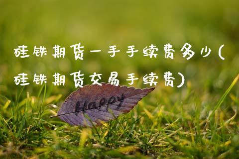 硅铁期货一手手续费多少(硅铁期货交易手续费)_https://www.gnhpgy.com_期货知识_第1张