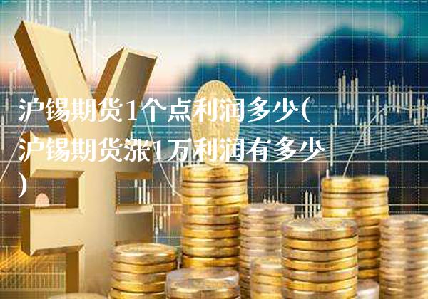 沪锡期货1个点利润多少(沪锡期货涨1万利润有多少)_https://www.gnhpgy.com_德指期货_第1张