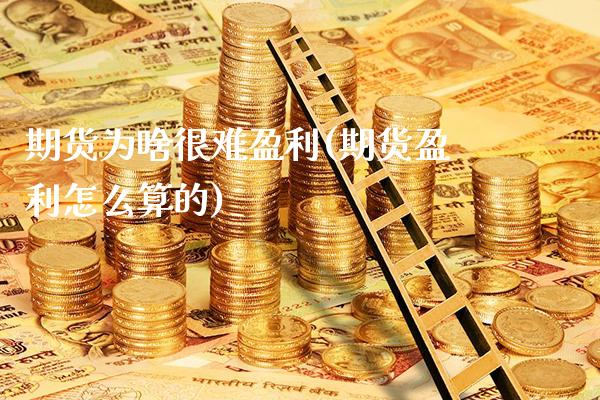 期货为啥很难盈利(期货盈利怎么算的)_https://www.gnhpgy.com_德指期货_第1张