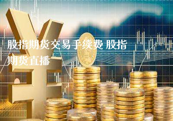 股指期货交易手续费 股指期货直播_https://www.gnhpgy.com_道指期货_第1张