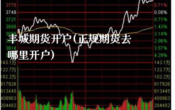丰城期货开户(正规期货去哪里开户)_https://www.gnhpgy.com_股指期货_第1张