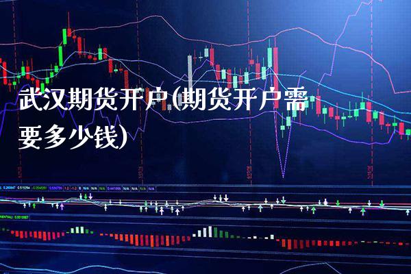 武汉期货开户(期货开户需要多少钱)_https://www.gnhpgy.com_原油期货_第1张