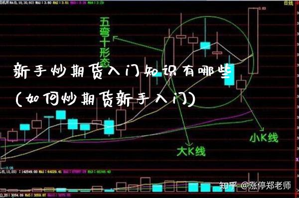 新手炒期货入门知识有哪些(如何炒期货新手入门)_https://www.gnhpgy.com_原油期货_第1张