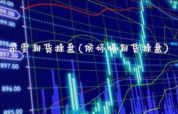 梁雯期货操盘(侯婷婷期货操盘)_https://www.gnhpgy.com_恒指期货_第1张