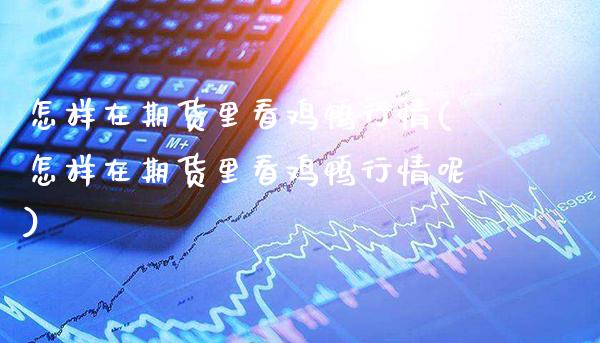 怎样在期货里看鸡鸭行情(怎样在期货里看鸡鸭行情呢)_https://www.gnhpgy.com_德指期货_第1张