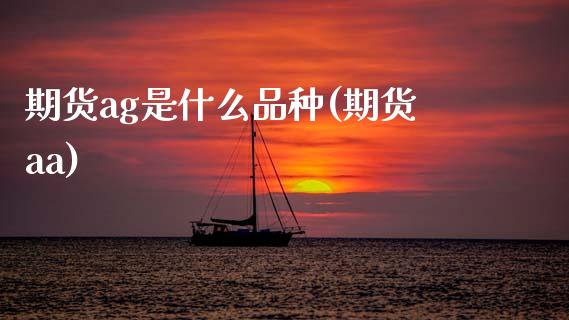 期货ag是什么品种(期货aa)_https://www.gnhpgy.com_恒指期货_第1张