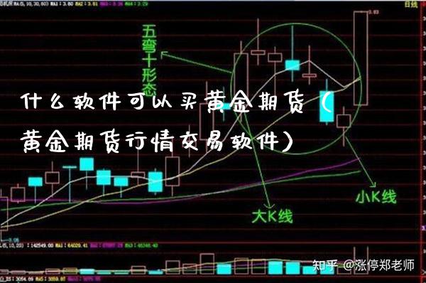 什么软件可以买黄金期货（黄金期货行情交易软件）_https://www.gnhpgy.com_黄金期货_第1张