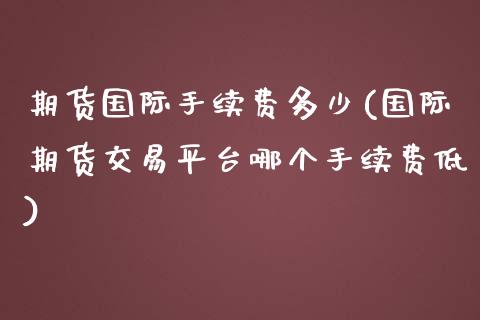 期货国际手续费多少(国际期货交易平台哪个手续费低)_https://www.gnhpgy.com_黄金期货_第1张