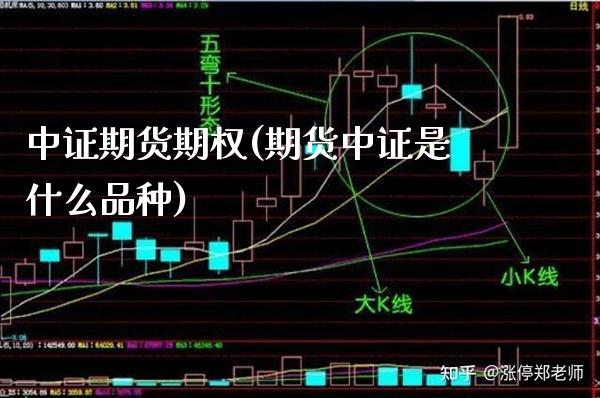 中证期货期权(期货中证是什么品种)_https://www.gnhpgy.com_德指期货_第1张