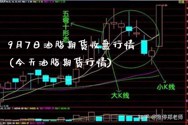 9月7日油脂期货收盘行情(今天油脂期货行情)_https://www.gnhpgy.com_道指期货_第1张
