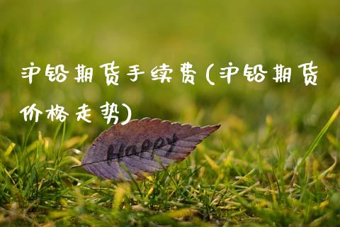 沪铅期货手续费(沪铅期货价格走势)_https://www.gnhpgy.com_德指期货_第1张