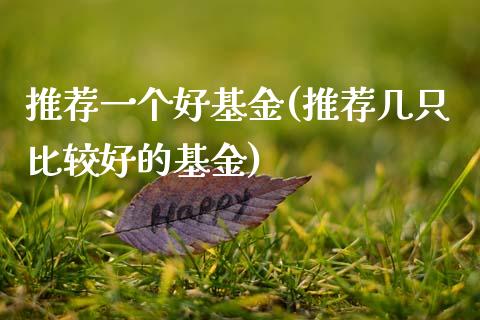 推荐一个好基金(推荐几只比较好的基金)_https://www.gnhpgy.com_德指期货_第1张