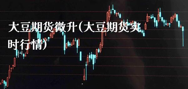 大豆期货微升(大豆期货实时行情)_https://www.gnhpgy.com_恒指期货_第1张
