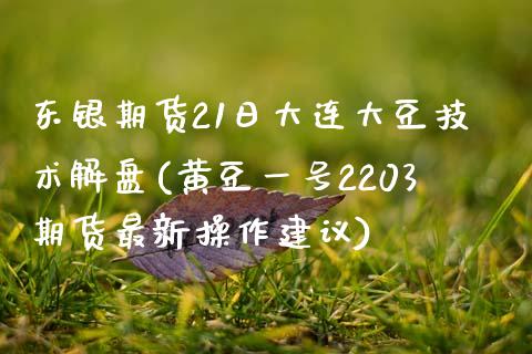 东银期货21日大连大豆技术解盘(黄豆一号2203期货最新操作建议)_https://www.gnhpgy.com_黄金期货_第1张