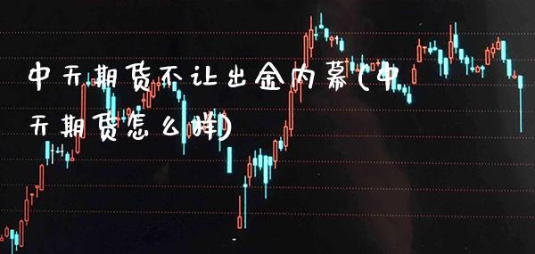 中天期货不让出金内幕(中天期货怎么样)_https://www.gnhpgy.com_纳指期货_第1张
