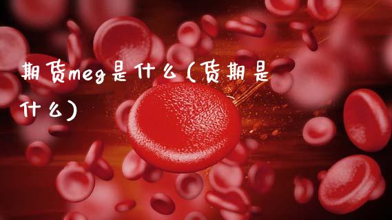 期货meg是什么(货期是什么)_https://www.gnhpgy.com_道指期货_第1张