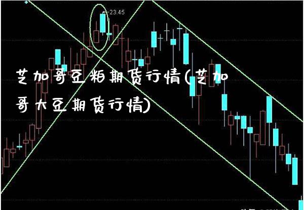 芝加哥豆粕期货行情(芝加哥大豆期货行情)_https://www.gnhpgy.com_恒指期货_第1张