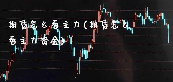 期货怎么看主力(期货怎么看主力资金)_https://www.gnhpgy.com_股指期货_第1张