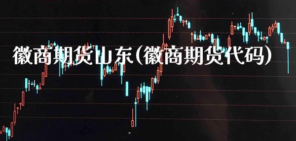 徽商期货山东(徽商期货代码)_https://www.gnhpgy.com_股指期货_第1张