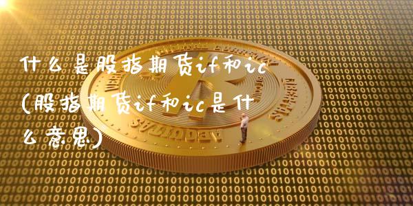 什么是股指期货if和ic(股指期货if和ic是什么意思)_https://www.gnhpgy.com_纳指期货_第1张