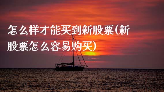 怎么样才能买到新股票(新股票怎么容易购买)_https://www.gnhpgy.com_股指期货_第1张