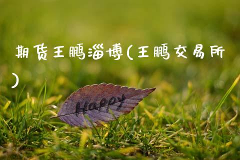 期货王鹏淄博(王鹏交易所)_https://www.gnhpgy.com_纳指期货_第1张