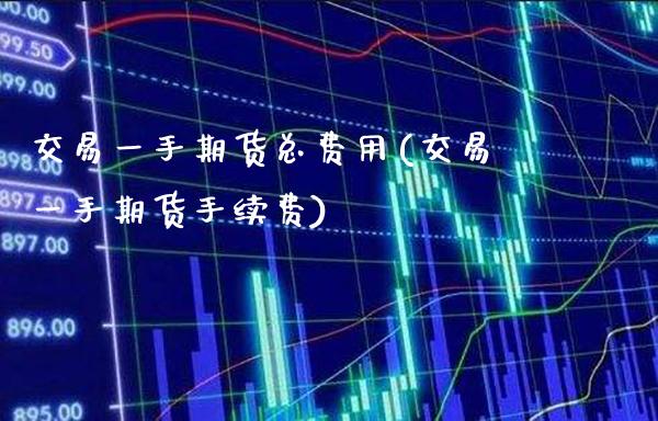 交易一手期货总费用(交易一手期货手续费)_https://www.gnhpgy.com_黄金期货_第1张
