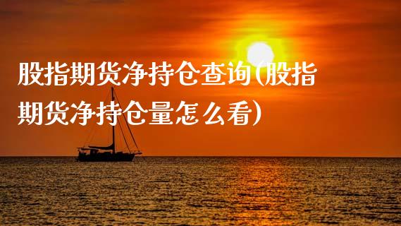 股指期货净持仓查询(股指期货净持仓量怎么看)_https://www.gnhpgy.com_期货知识_第1张