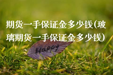 期货一手保证金多少钱(玻璃期货一手保证金多少钱)_https://www.gnhpgy.com_德指期货_第1张