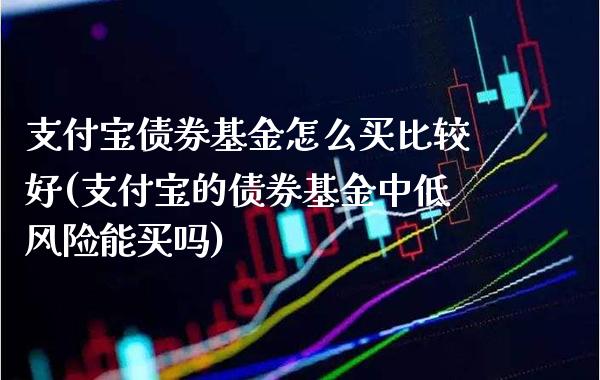 支付宝债券基金怎么买比较好(支付宝的债券基金中低风险能买吗)_https://www.gnhpgy.com_纳指期货_第1张