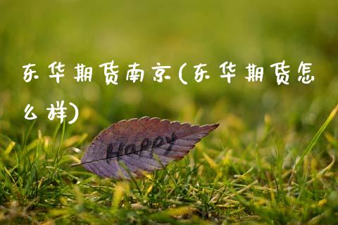 东华期货南京(东华期货怎么样)_https://www.gnhpgy.com_黄金期货_第1张