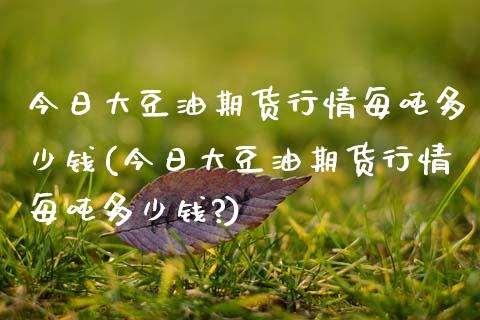 今日大豆油期货行情每吨多少钱(今日大豆油期货行情每吨多少钱?)_https://www.gnhpgy.com_原油期货_第1张