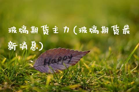 玻璃期货主力(玻璃期货最新消息)_https://www.gnhpgy.com_德指期货_第1张