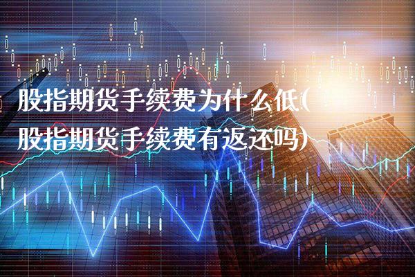 股指期货手续费为什么低(股指期货手续费有返还吗)_https://www.gnhpgy.com_原油期货_第1张