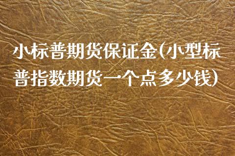 小标普期货保证金(小型标普指数期货一个点多少钱)_https://www.gnhpgy.com_期货知识_第1张