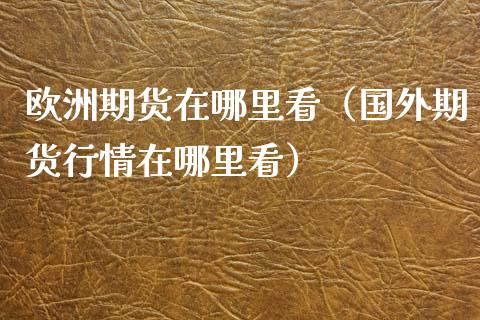 欧洲期货在哪里看（国外期货行情在哪里看）_https://www.gnhpgy.com_股指期货_第1张
