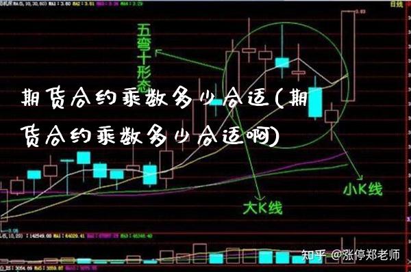 期货合约乘数多少合适(期货合约乘数多少合适啊)_https://www.gnhpgy.com_期货百科_第1张