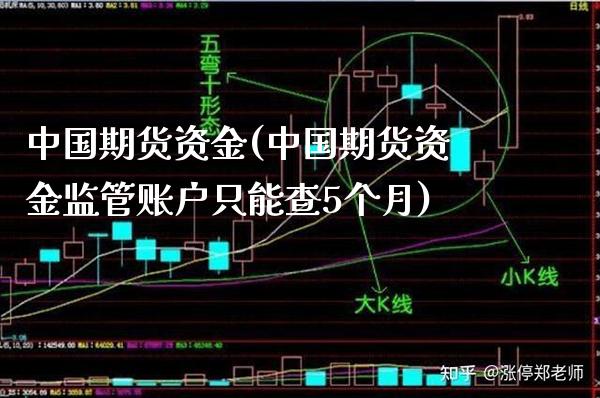 中国期货资金(中国期货资金监管账户只能查5个月)_期货百科_第1张_公牛期货直播室 中国期货资金(中国期货资金监管账户只能查5个月)_https://www.gnhpgy.com_期货百科_第1张