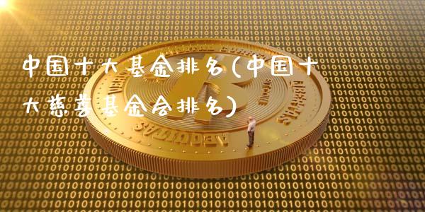 中国十大基金排名(中国十大慈善基金会排名)_https://www.gnhpgy.com_道指期货_第1张